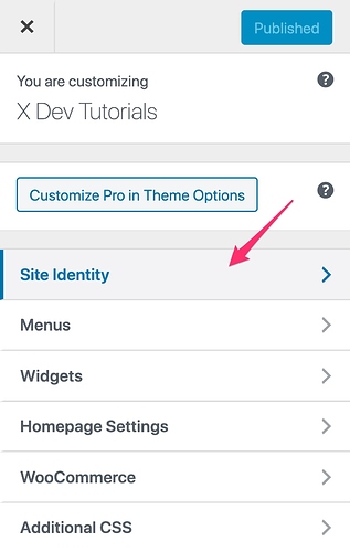 Customize__X_Dev_Tutorials___Just_another_WordPress_site