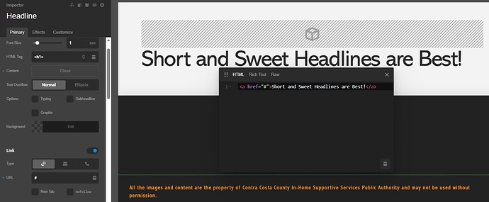 themeco-pro-link-bug
