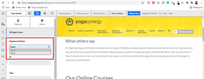 registered-sidebar-issue