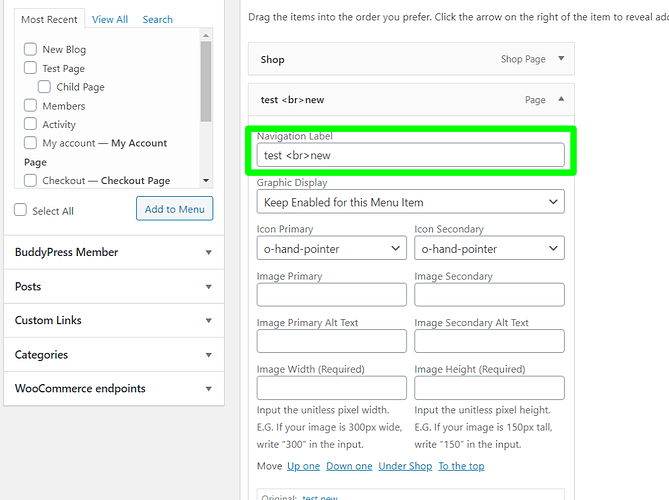 Menus-‹-Pro-—-WordPress (1)