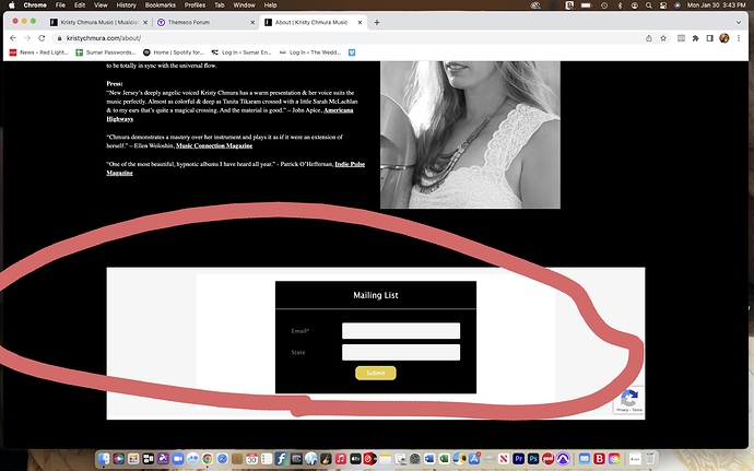 Screen Shot 2023-01-30 at 3.43.22 PM