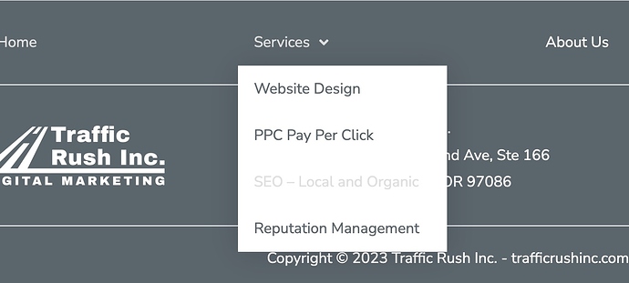 Screenshot 2023-06-17 at 9.10.48 AM