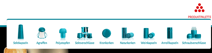 Bildschirmfoto 2021-09-16 um 10.58.59