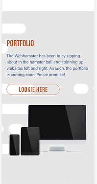 Chrome iPhone 12 Pro