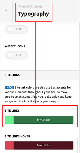 Theme-Options-Pro (10)
