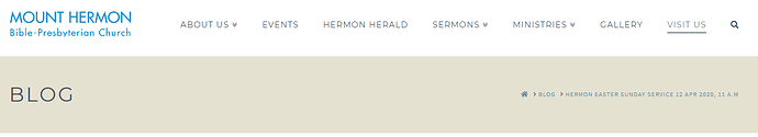 screenshot-www.hermon.org.sg-2020.06.13-02_14_34