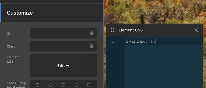 Screen Shot 2021-09-05 at 10.44.42 AM