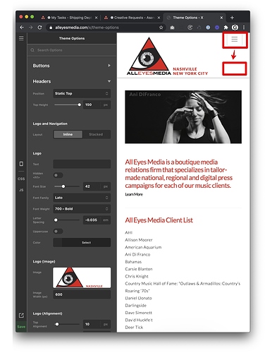 Theme Options - X 2020-12-23 07-53-24