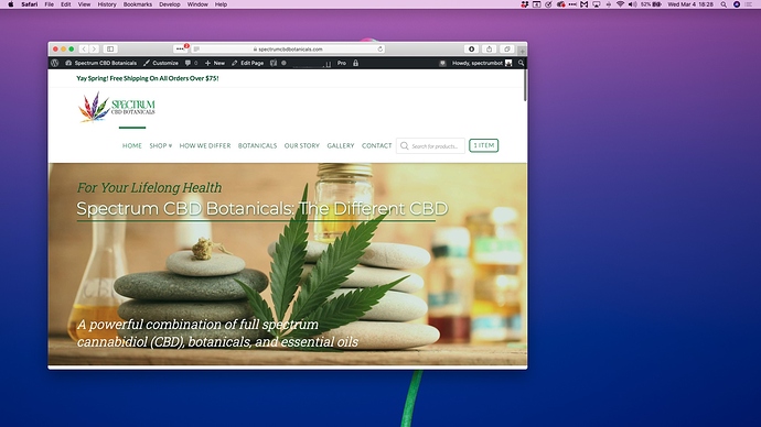 Screen Shot 2020-03-04 at 6.28.16 PM (2)