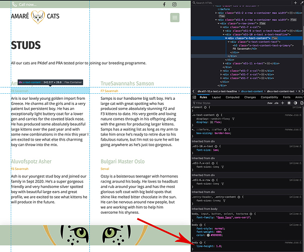 Screenshot 2021-03-29 at 13.35.41