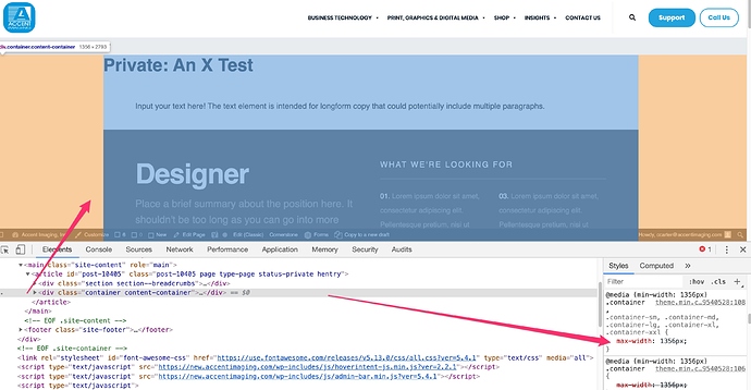 An_X_Test_-Accent_Imaging__Inc
