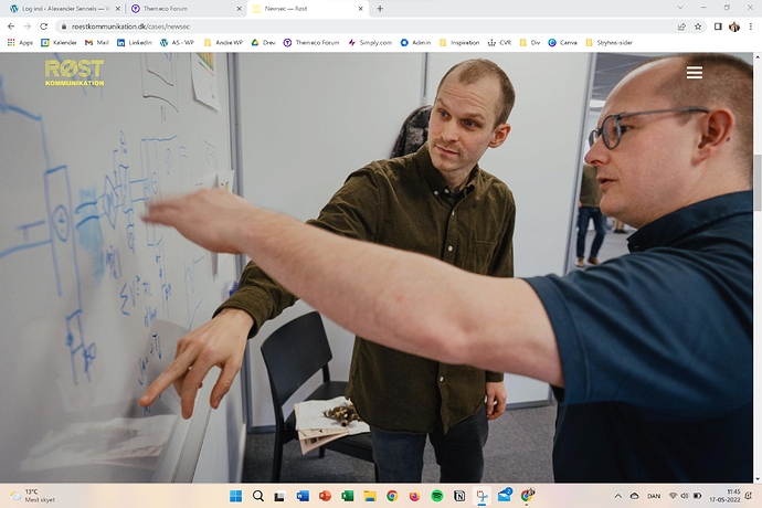 Skærmbillede 2022-05-17 114525