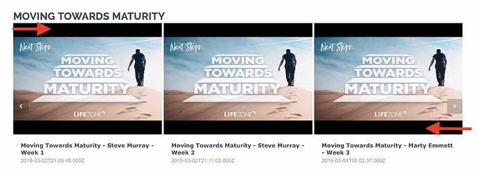 Screen Shot 2020-04-14 at 7.45.22 PM copy