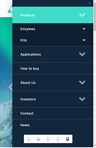 Main_menu_mobile_device