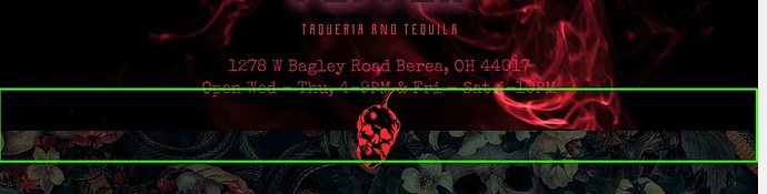 Ghost-Pepper-Taqueria-Tequila-Berea-Ohio (1)
