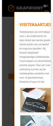 Schermafbeelding 2021-01-27 om 11.38.45