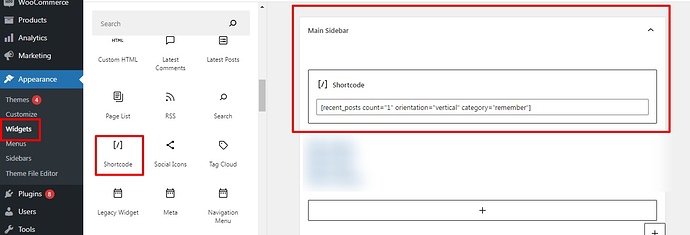 Widgets-‹-TEST-—-WordPress (1)