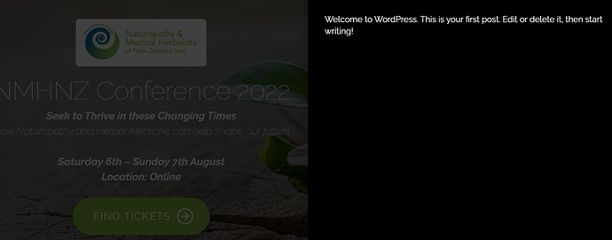 Screenshot 2022-04-28 172035