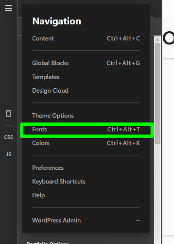 Theme-Options-X (38)