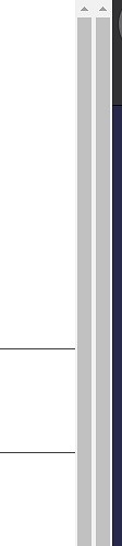 2scrollbars