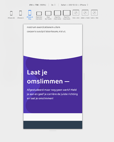 Schermafbeelding 2020-10-19 om 11.08.40