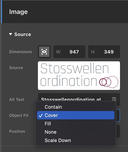 Screen Shot 2022-09-11 at 2.31.56 PM
