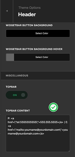 Theme_Options_-_Pro