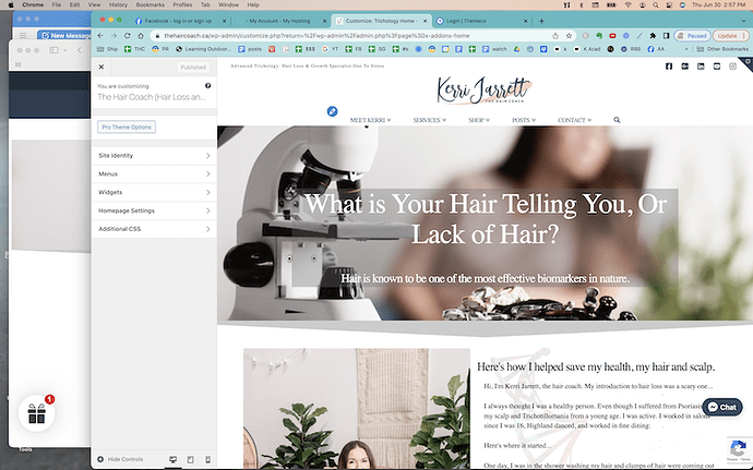 Screen Shot 2022-06-30 at 2.57.13 PM