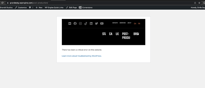 Screen Shot 2022-09-13 at 3.13.27 PM