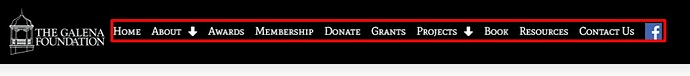Thank-You-Galena-Foundation