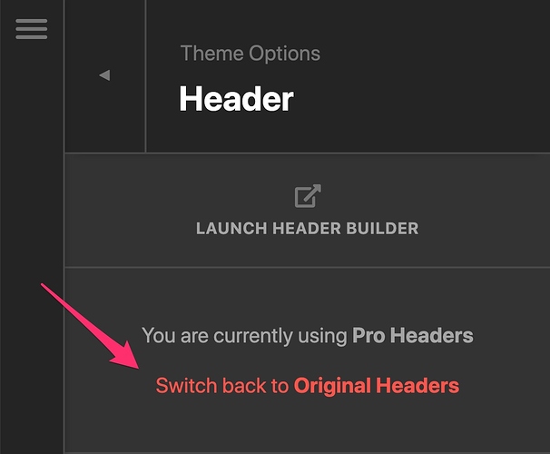 Theme_Options_-_Pro