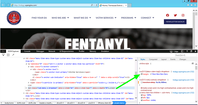 Realtime-Browser-Viewer (1)