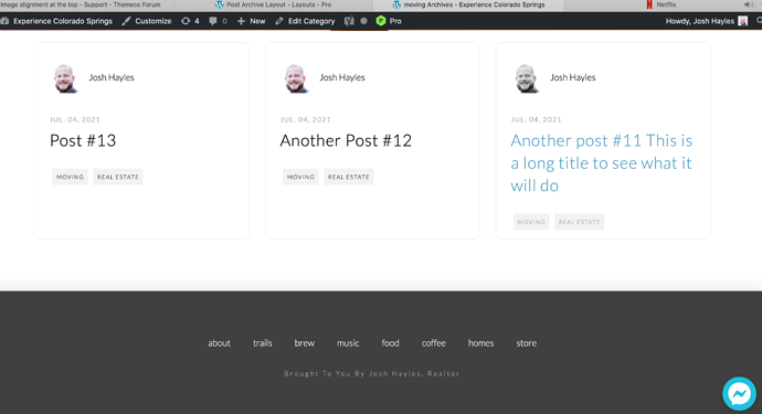 live version does not match
