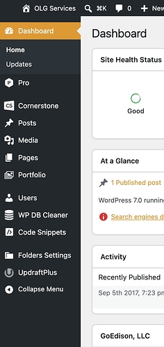 Dashboard-‹-OLG-Services-—-WordPress-07-08-2026_06_03_PM