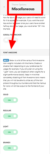 Theme_Options_Pro (16)