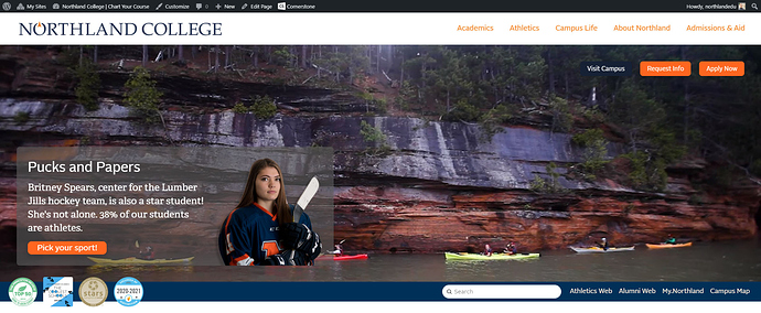 home page header only