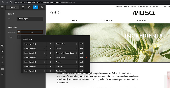 Screen Shot 2020-11-30 at 2.41.41 pm
