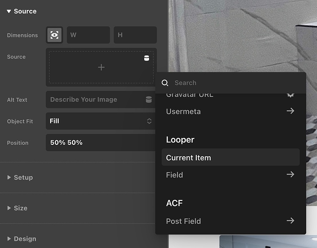 Screen Shot 2021-08-21 at 12.11.54 PM