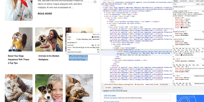 Copy of Copy of Copy of Untitled (3)