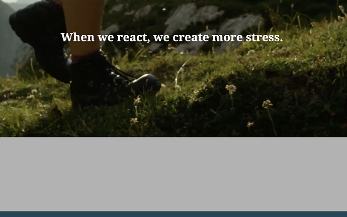 Screenshot 2020-04-19 13.42.31