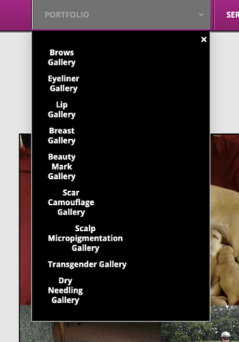 Screen Shot 2021-05-26 at 1.32.41 PM