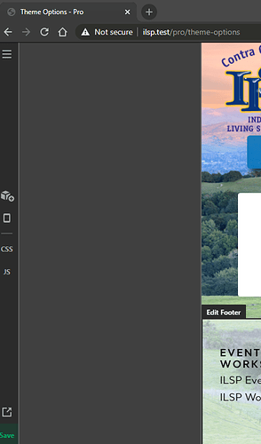 pro-4-rc-theme-options-issue