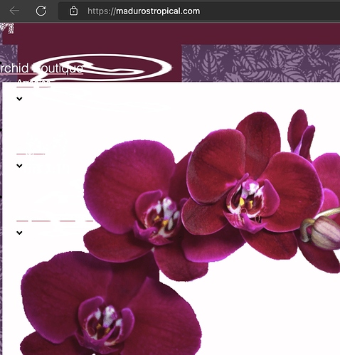 Screen Shot 2022-09-17 at 8.07.52 AM