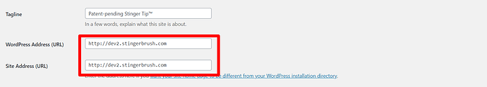 General-Settings-‹-Stinger-Brush-—-WordPress