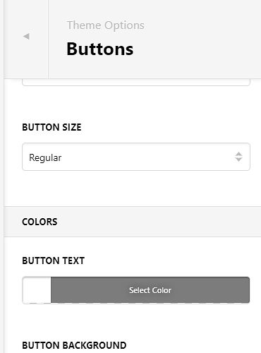 Theme_Options_Pro (1)