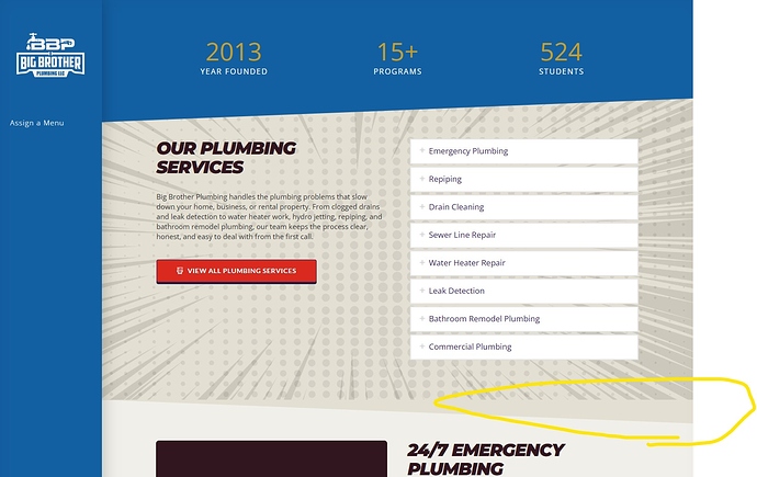 screenshot of section issue themeco
