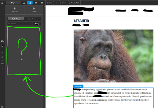 layouts_inpsector