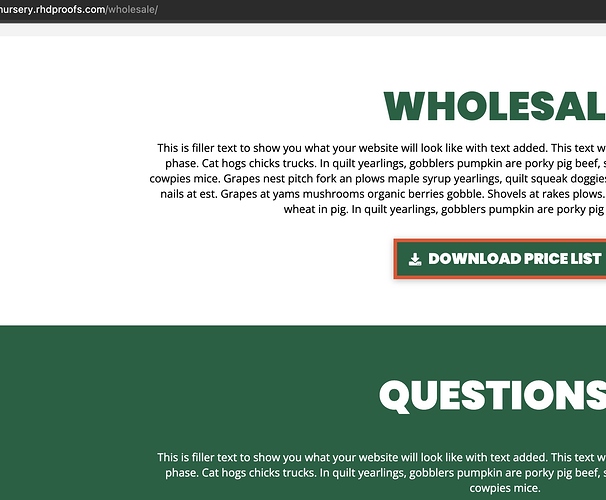 Screenshot 2023-01-12 at 10.04.57 AM