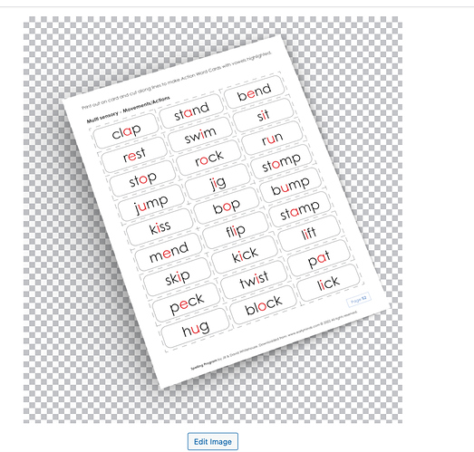 Screenshot 2023-01-17 at 10.28.36 AM