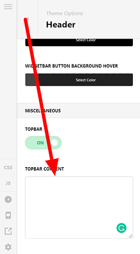 Theme-Options-Pro (35)